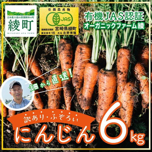 【有機JAS】 ジュースに最適！たっぷりにんじん６kg！固定種！ （訳ありふぞろい規格） 1727542 - 宮崎県綾町