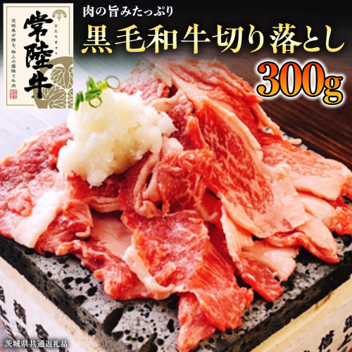 【和牛】常陸牛 厳選 切り落とし 肉 300g ( 茨城県共通返礼品 )国産 焼肉 焼き肉 バーベキュー BBQ ブランド牛 黒毛和牛 赤身 牛肉 ギフト 贈り物 お祝い 贈答 172885 - 茨城県牛久市