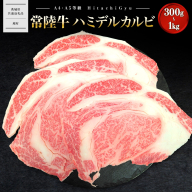 [常陸牛]ハミデルカルビ300g〜1kg