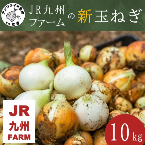 JR九州ファームの 新玉ねぎ 10kg( 玉ねぎ 甘い 野菜 新玉ねぎ 野菜 国産 送料無料 )【B7-036】 1730144 - 長崎県松浦市