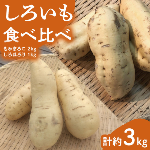 みずほの村市場牛久店  しろいも 食べくらべ（ きみまろこ 2kg しろほろり 1kg）計約3kg  甘い 芋 いも サツマイモ スイーツ 野菜 珍しい野菜 1730163 - 茨城県牛久市