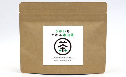 静岡茶ガールプロジェクト　うがいもできる本山茶5個 173029 - 静岡県静岡市