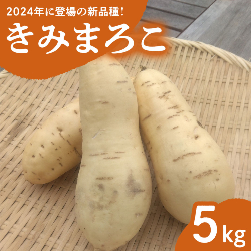 みずほの村市場牛久店 さつまいも 「 きみまろこ 」 5kg  甘い 芋 いも サツマイモ スイーツ 野菜 珍しい野菜 1730520 - 茨城県牛久市