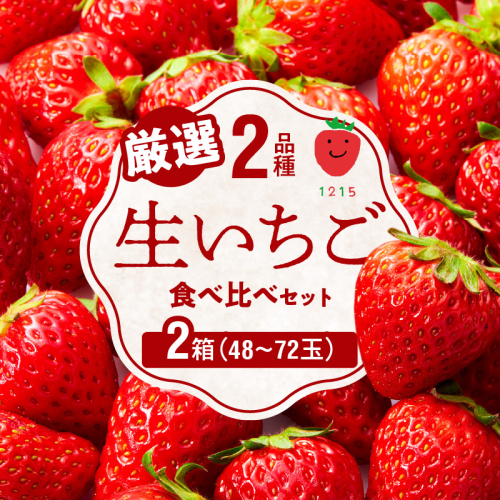 生いちご 厳選 2品種 食べ比べセット いちにのいちご園（2025年1月から発送開始）N085-YB531 173152 - 宮崎県延岡市