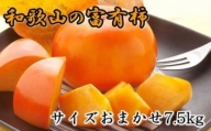 [甘柿の王様]和歌山産富有柿約7.5kgサイズおまかせ ※2024年11月上旬～12月上旬頃に順次発送予定