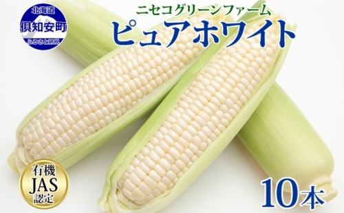北海道産 旬の有機栽培野菜 ピュアホワイト 10本 3kg以上 とうもろこし