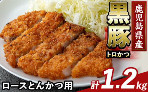 K-373-B かごしま味わい黒豚 とんかつ用ロース肉・トロかつ(計1.2kg)【ふるさと産直バザール】霧島市 ロース トンカツ 豚カツ トンテキ 豚肉 国産 鹿児島県産 肉 精肉 小分け 1733280 - 鹿児島県霧島市