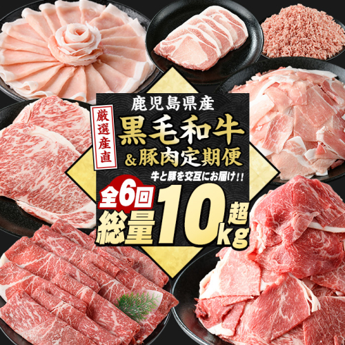 ＜定期便全6回＞黒毛和牛・豚肉ミックス定期便 総重量10kg以上 赤身 モモ 豚 ミンチ ロースかつ 豚肉 牛肉 切り落とし サーロイン 豚ロース しゃぶしゃぶ すき焼き 【スターゼン】starzen-1427 1733295 - 鹿児島県長島町