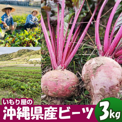 【2026年発送】いもり屋の沖縄県産ビーツ　3kg 173373 - 沖縄県南風原町