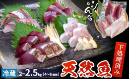 ｢魚ってこんなに美味しかったのか！｣ そんな声が聞きたくて高知の港町･須崎の九石大敷組合の漁師たちが立ち上がりました｡朝獲れ！天然鮮魚詰め合わせの内容は､その日の朝に獲れた様々な魚種を厳選しお送りさせ