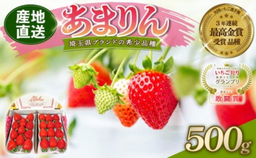 【予約】あまりん 500g 全国いちご選手権 3年連続最高金賞 (250g×2P) いちご 苺 ストロベリー 産地直送 ご当地 果物 くだもの フルーツ デザート 食品 冷蔵 ロコファーム 埼玉県 羽生市