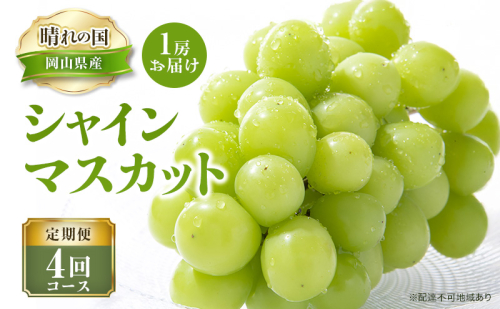 【 2026年 先行予約 】ぶどう 晴れの国 シャインマスカット 1房 定期便 4回 コース 《2026年7月-12月出荷》 葡萄 ブドウ 岡山県産 フルーツ 果物 数量限定 里庄町  173450 - 岡山県里庄町
