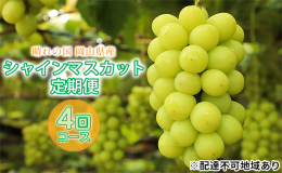 ●先行予約●2025年の収穫時期に順次出荷します！ 【配達不可：北海道・沖縄・離島】 シャインマスカット各1房を2025年7月〜10月に4回定期便でお届け！ 各生産者の丹精込めて作ったシャインマスカッ