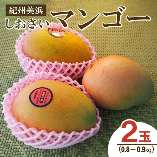 紀州美浜しおさいマンゴー2玉（0.8～0.9kg）
※離島への配送不可
※2025年7月下旬～9月上旬頃に順次発送予定 173520 - 和歌山県美浜町