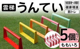 梁等を利用した雲梯 背筋伸ばし 筋トレ 運動不足の解消【施工を前提としたご注文の方は必ずお読みください】・取付：安全を確認して取付・使用を行ってください。・使用荷重限度は定格 80kgですが、耐えうる