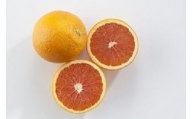 143.ブラッドオレンジ(約5kg)(A143-1)