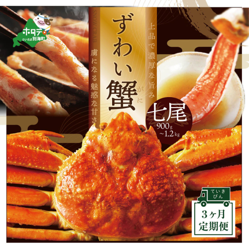 【定期便】新物 ズワイガニ ボイル 冷凍 姿 900g - 1.2kg 7尾 × 3ヵ月【全3回】 173552 - 北海道別海町