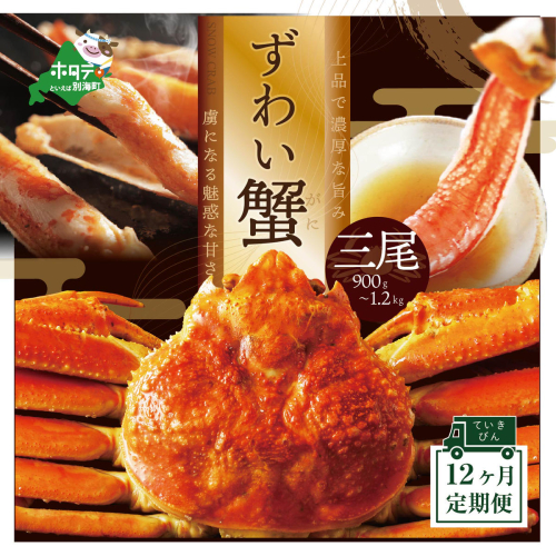 【定期便】新物 ズワイガニ ボイル 冷凍 姿 900g - 1.2kg 3尾 × 12ヵ月【全12回】 173782 - 北海道別海町
