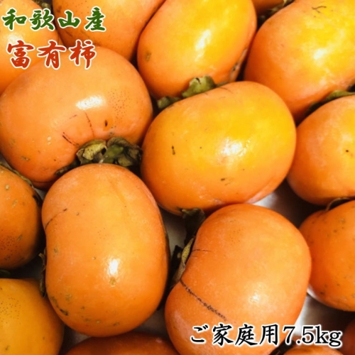 和歌山産富有柿ご家庭用約7.5kg ※2024年11月上旬～2024年12月上旬ごろ順次発送 173889 - 和歌山県新宮市