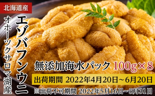 オホーツクサロマ湖産無添加エゾバフンウニ800g海水パック【2022年4月下旬出荷開始先行予約】丸サチ松永水産 173908 - 北海道佐呂間町