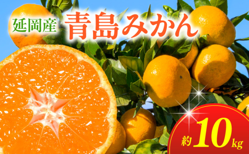 青島みかん（10kg）12月下旬から発送 N050-YA979 173964 - 宮崎県延岡市