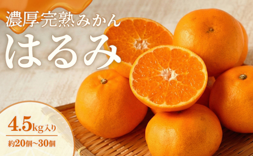 濃厚・完熟 みかん「はるみ」A品（ちょいきず） 果物類 柑橘類 フルーツ ミカン 柑橘  173978 - 静岡県森町