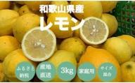 【産地直送】和歌山県産　レモン　3kg　家庭用