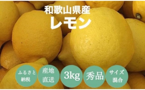 【産地直送】和歌山県産　レモン　3kg　サイズ混合 174217 - 和歌山県那智勝浦町