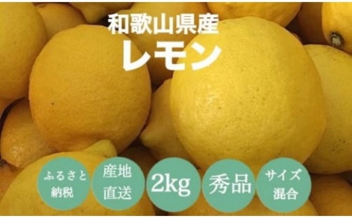 【産地直送】和歌山県産　レモン　2kg　サイズ混合 174218 - 和歌山県那智勝浦町