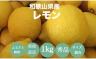 [産地直送]和歌山県産 レモン 1kg サイズ混合