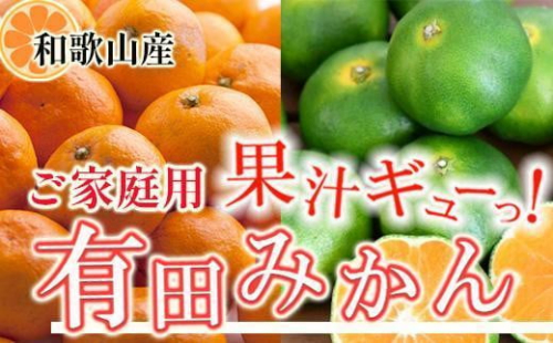 家庭用 有田みかん10kg+250g（傷み補償分）［2025年10月上旬から2026年1月下旬頃順次発送予定］［IKE252］ 174228 - 和歌山県那智勝浦町