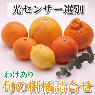 ＜2月より発送＞家庭用 柑橘詰合せ3kg＋90g（傷み補償分）【わけあり・訳あり】