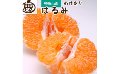 ＜2月より発送＞家庭用 はるみ2.5kg+75g（傷み補償分）【デコポンの姉妹品種・新食感春みかん】【光センサー選別】【わけあり・訳あり】 174240 - 和歌山県那智勝浦町