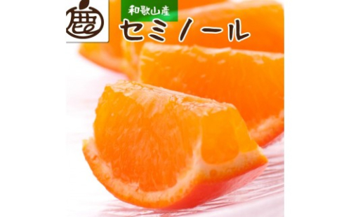 ［先行予約］厳選 セミノールオレンジ2.5kg+250g（傷み補償分）［春みかん］［有田産］［光センサー食べ頃出荷］［IKE153］ 174254 - 和歌山県那智勝浦町