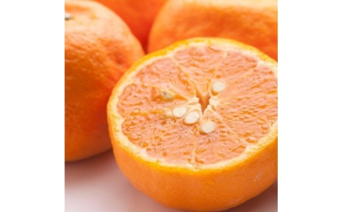 ［先行予約］厳選 カラマンダリン5kg+250g（傷み補償分）［南津海・なつみ］［希少な春柑橘］［みかんと同じように食べられます］［IKE67］ 174279 - 和歌山県那智勝浦町