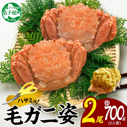 3334. 毛蟹 2尾 計700g前後 食べ方ガイド・専用ハサミ付 カニ かに 蟹 海鮮 ボイル 送料無料 北海道 弟子屈町 174495 - 北海道弟子屈町