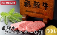 【6月中旬発送】飛騨牛ロースステーキ用600g（5等級・冷凍）