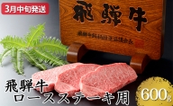 【3月中旬発送】飛騨牛ロースステーキ用600g（5等級・冷凍）