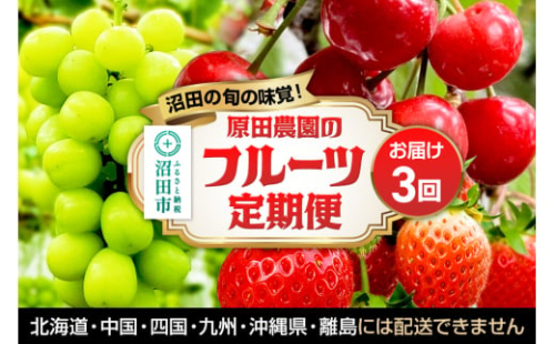 《一部地域限定配送》3回お届け！原田農園のフルーツ定期便 いちご→さくらんぼ→シャインマスカット