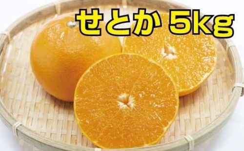 せとか　約5kg　【ご家庭用】 ※2022年2月下旬より順次発送予定（お届け日指定不可）