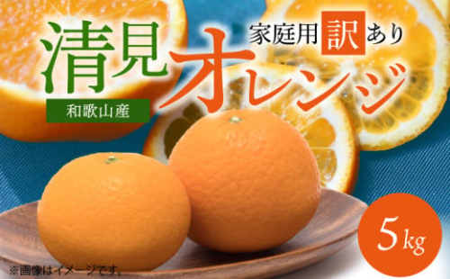 G7329_【2026年先行予約】紀州有田産 清見 オレンジ 5kg【家庭用 訳あり】タンゴール みかん 柑橘 フルーツ 果物 デザート 果実 お取り寄せ 和歌山県 湯浅町 有田 送料無料 1747500 - 和歌山県湯浅町