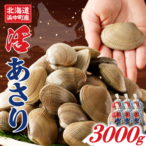 1月～3月発送分《先行予約・期間限定》浜中町産活あさり(500g×6袋セット)_230205-01
 174754 - 北海道浜中町