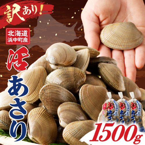 【訳あり】1月～3月発送分《先行予約・期間限定》浜中町産活あさり(500g×3袋セット)_H0023-050 174755 - 北海道浜中町