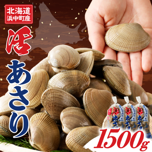 1月～3月発送分《先行予約・期間限定》浜中町産活あさり(500g×3袋セット)_230106-01 174755 - 北海道浜中町