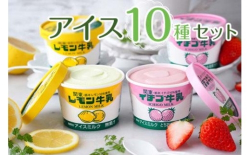 アイス 10種セット ｜ アイスクリーム 抹茶 チョコ モナカ サクレ マロン 174801 - 栃木県さくら市