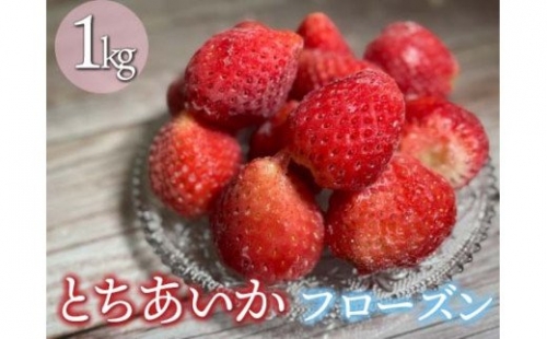 とちあいかフローズン　１kg≪苺 イチゴ いちご フルーツ 果物 冷凍≫ 174933 - 栃木県さくら市