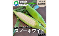 【先行受付 2022年7月出荷】スノーホワイト（ホワイトコーン）10本入り おおい町産 数量限定 とうもろこし 野菜 フルーツコーン 有機肥料 高糖度