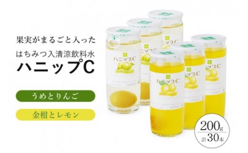 果実入り清涼飲料水　ハニップＣ　２種類セット 175076 - 和歌山県新宮市