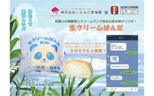 生クリームぱんだ （青うめ） 10個 もっちりふわふわのパンで包んだ絶品パン 175115 - 和歌山県新宮市
