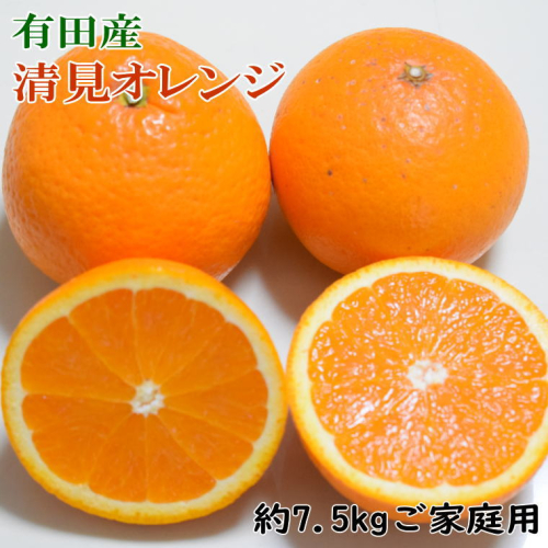 【訳ありご家庭用】有田産清見オレンジ約7.5kg（サイズおまかせまたは混合） ※2024年2月上旬～2024年3月下旬頃順次発送予定